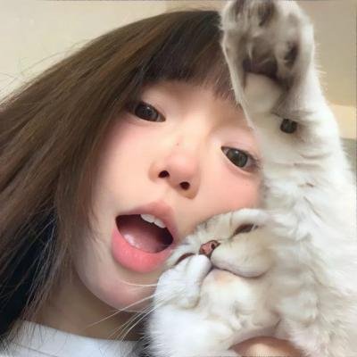 盐湖城朋克